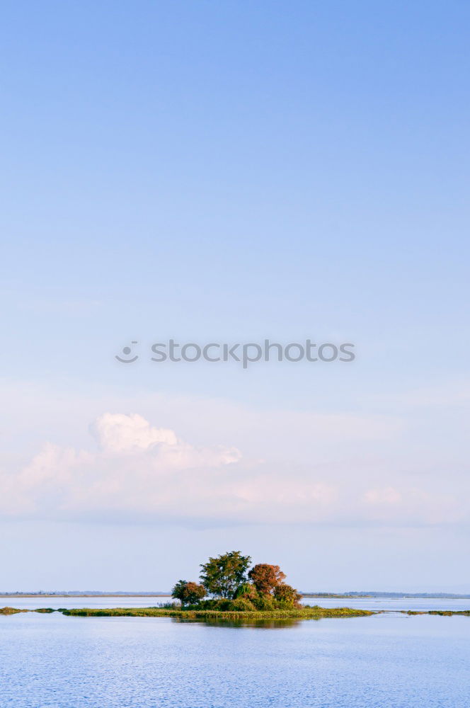 Similar – Image, Stock Photo Nyang-Nyang