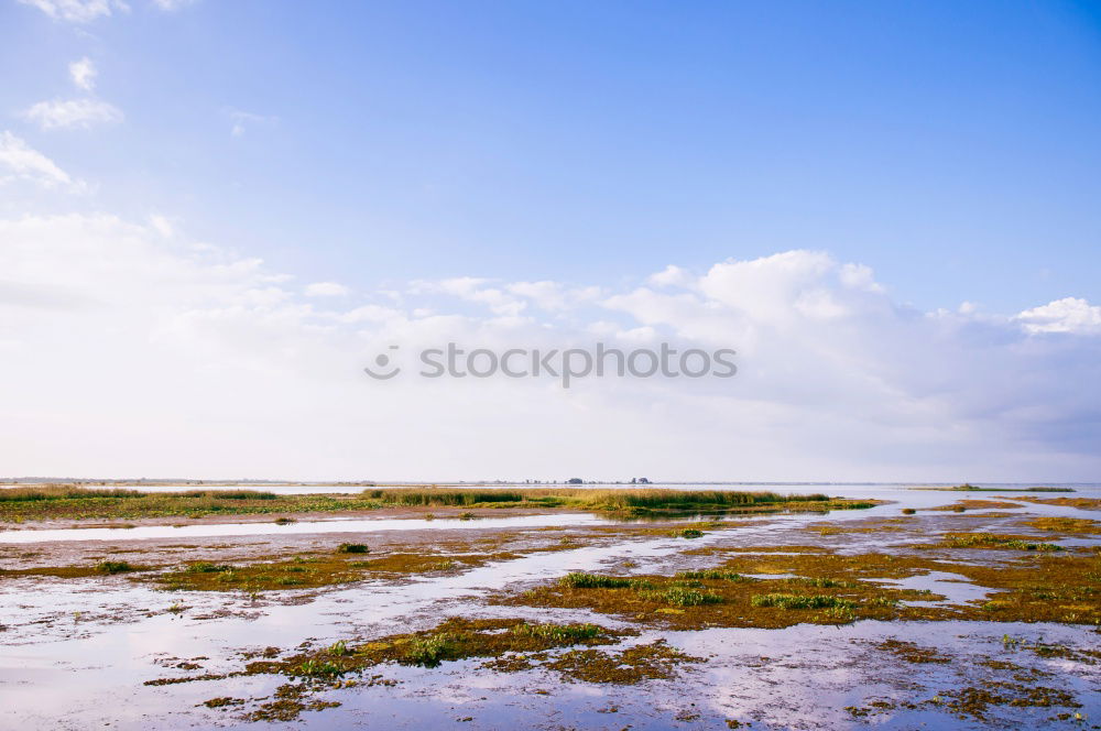 Similar – Image, Stock Photo Beach II Summer Wet