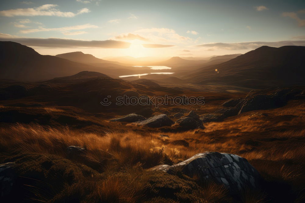 Similar – Image, Stock Photo Dry meadow on hill Meadow