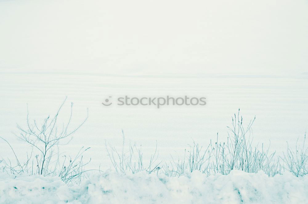 Similar – Image, Stock Photo snow blind Environment