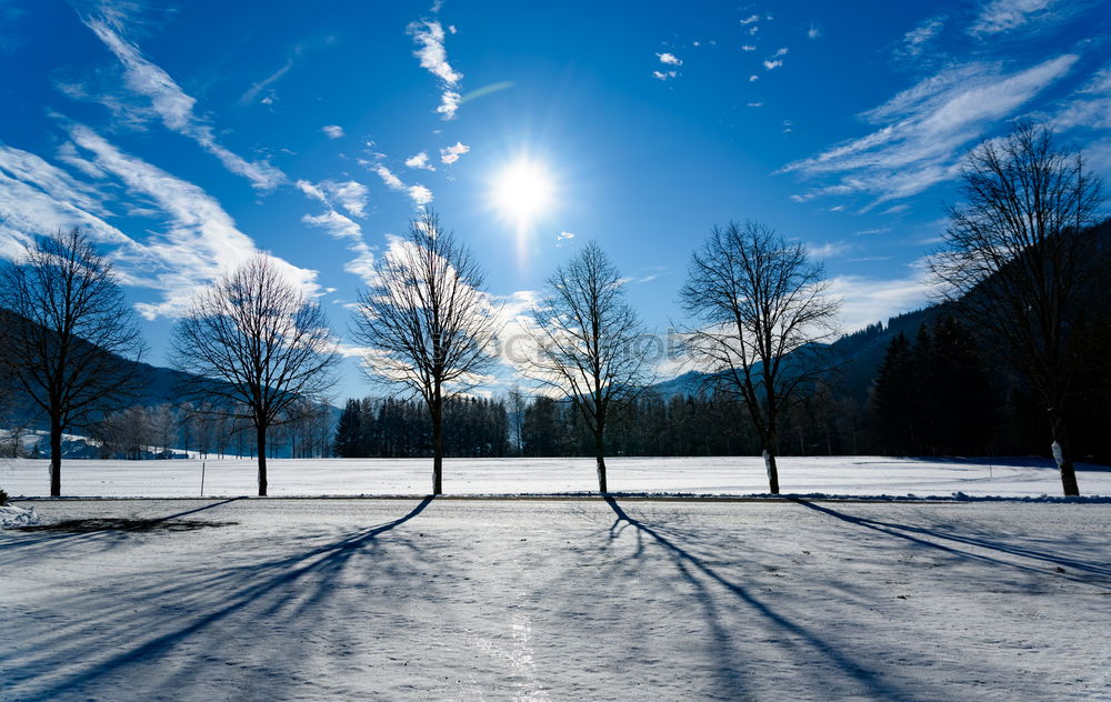 Similar – Image, Stock Photo Christmas card 24 Sunbeam