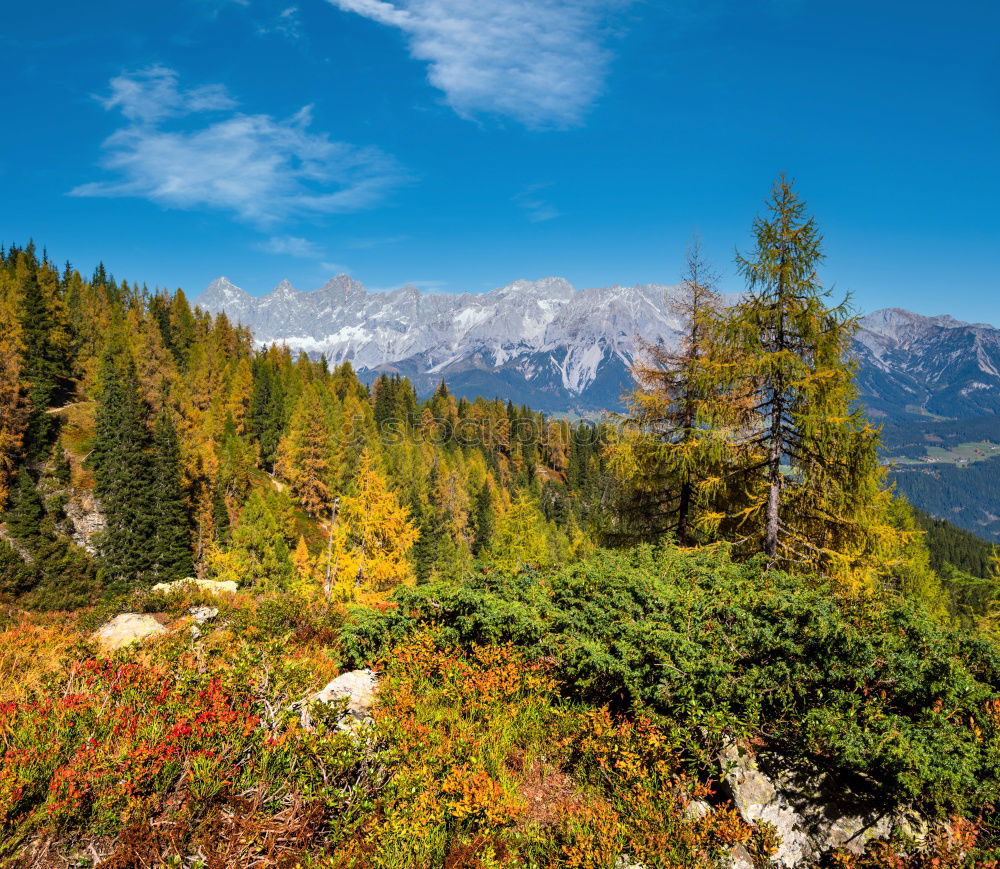 Similar – Maroon-Snowmass Wilderness in Colorado