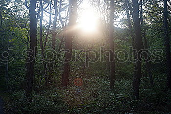 Similar – Image, Stock Photo Goods/Müritz Environment