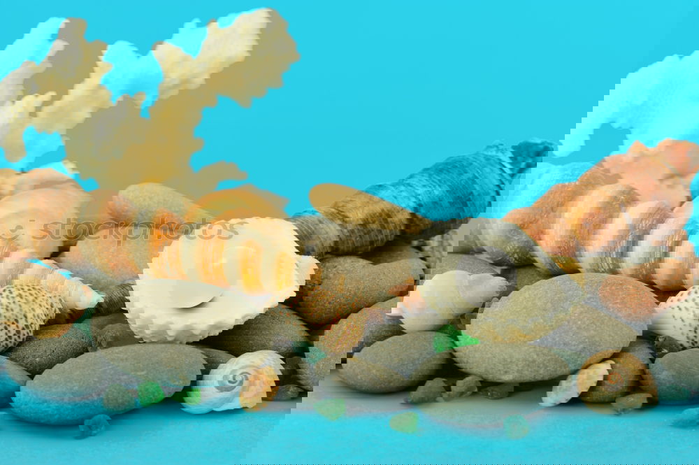 Similar – Image, Stock Photo collecting frenzy II