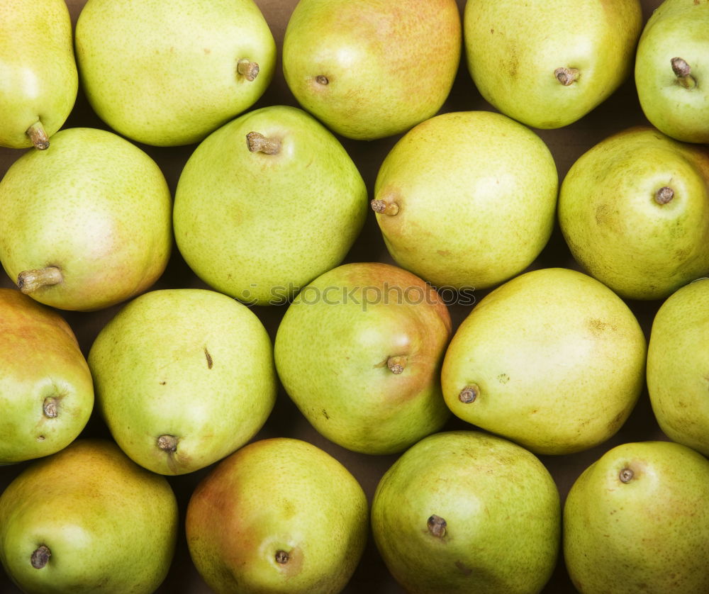 Similar – Image, Stock Photo apple harvest Environment