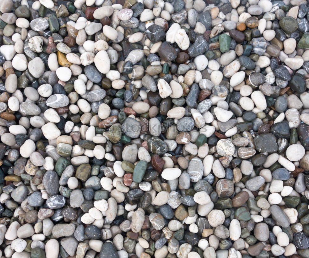 Similar – pebbles Stony Hard