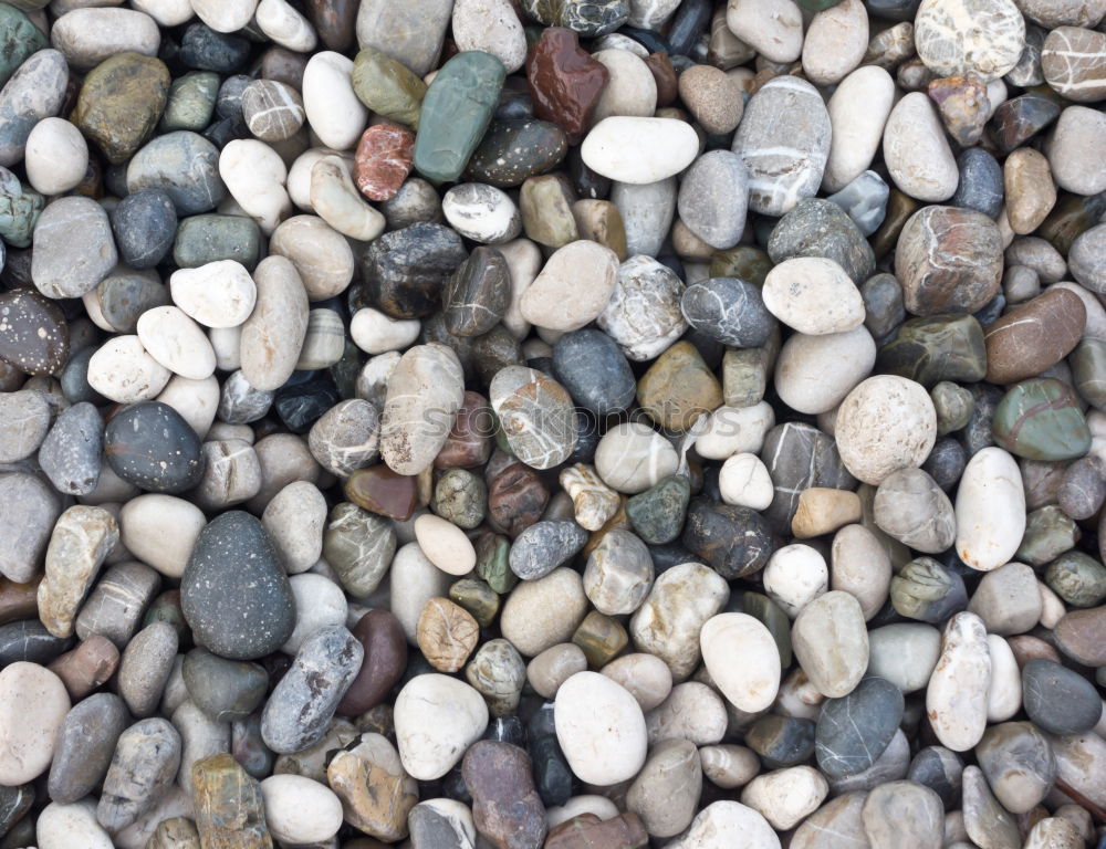 Similar – stones Beach Stone