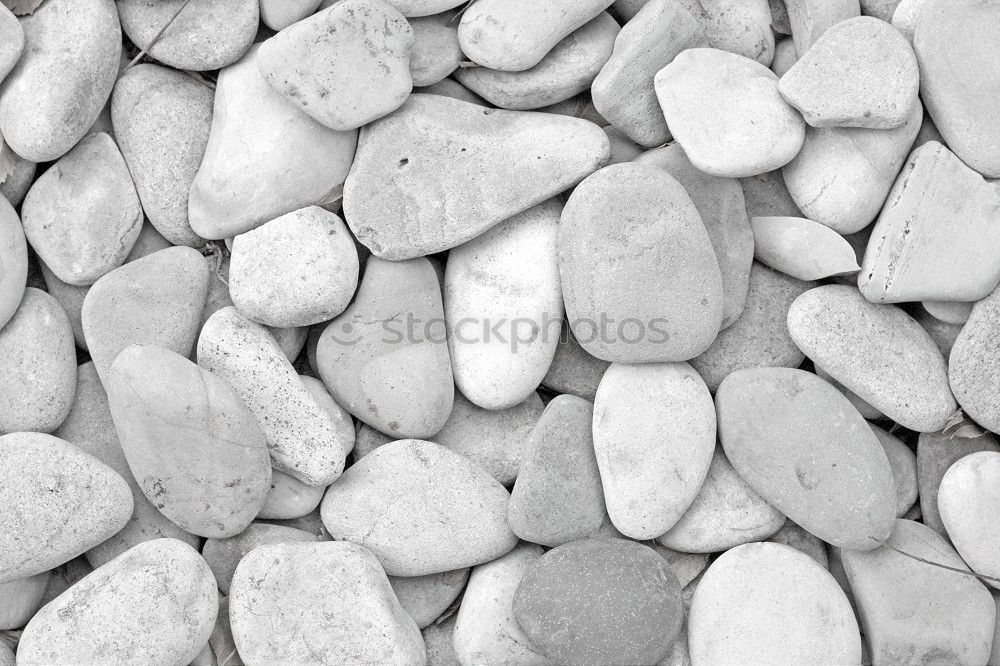 Similar – stones Pebble Gravel Beach