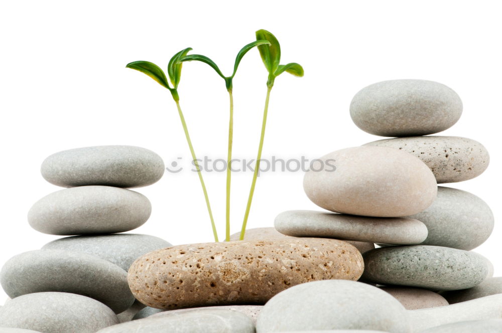 Similar – Image, Stock Photo Balace, stones by the water