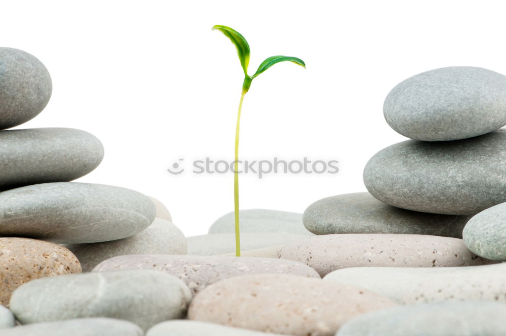 Similar – Image, Stock Photo Balace, stones by the water