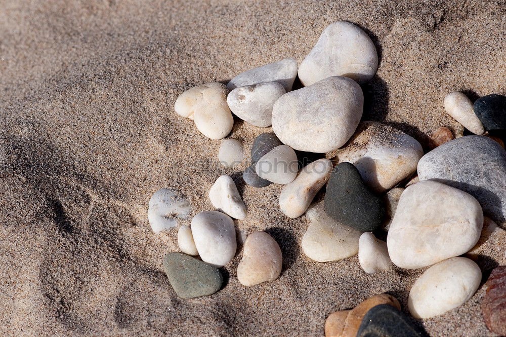 Similar – stones Beach Stone