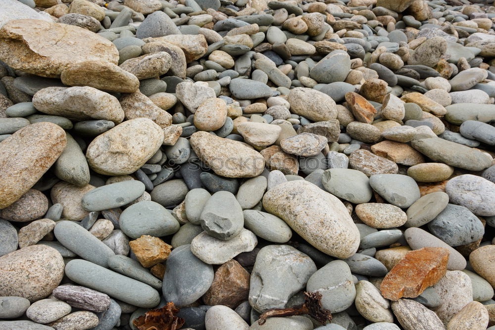 Similar – Image, Stock Photo Shore in autumn Water