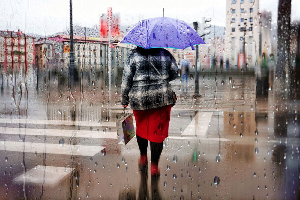 Similar – Rain in London Umbrella