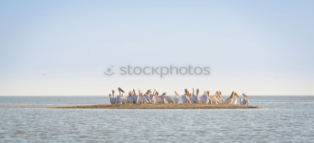 Similar – Image, Stock Photo Travemünde Beach 2