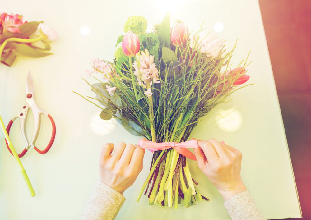 Similar – Image, Stock Photo Female hands make an autumn bouquet