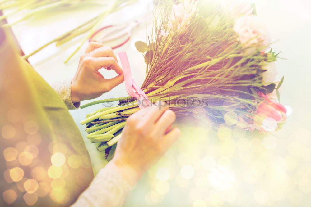 Similar – Image, Stock Photo Cheerful woman in garden