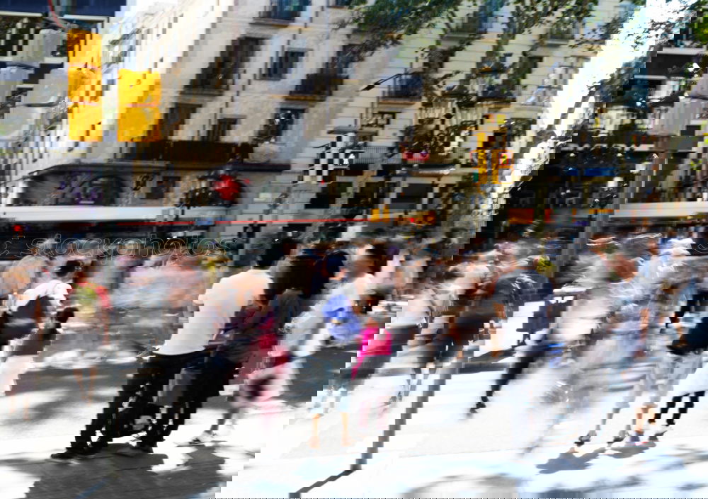 Similar – Image, Stock Photo SIGHTSEEING Joy Tourism