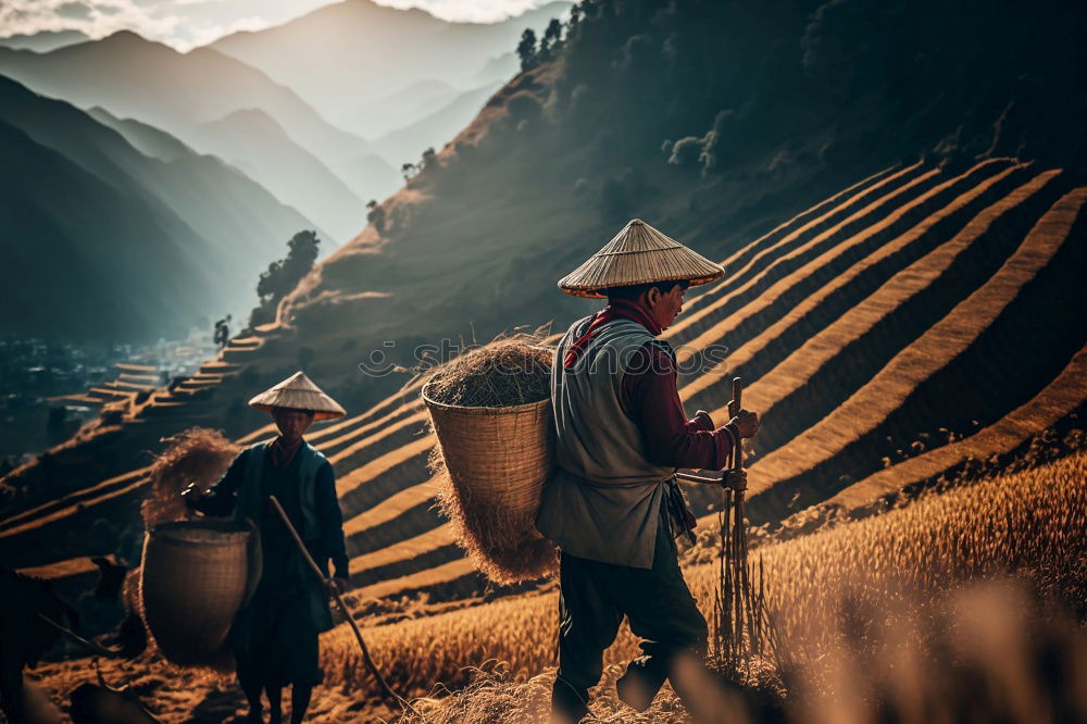 Similar – Image, Stock Photo Nepal’s Children Asia