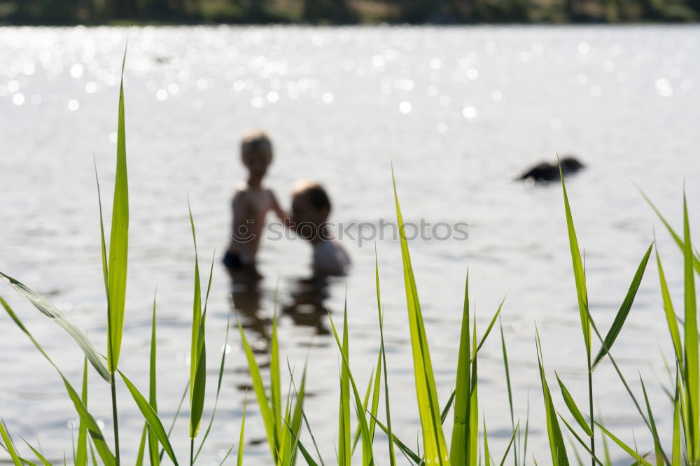 Similar – Image, Stock Photo Alone in freedom Lake