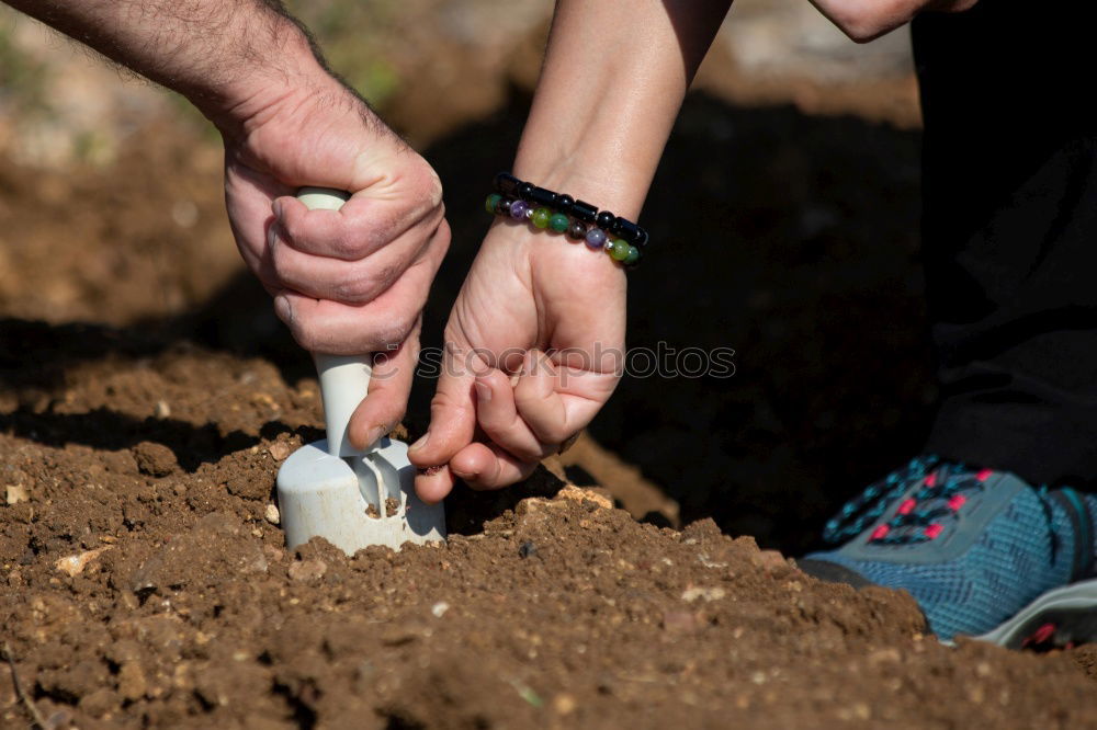 Similar – Image, Stock Photo Children’s hands with gloves planting potatoes