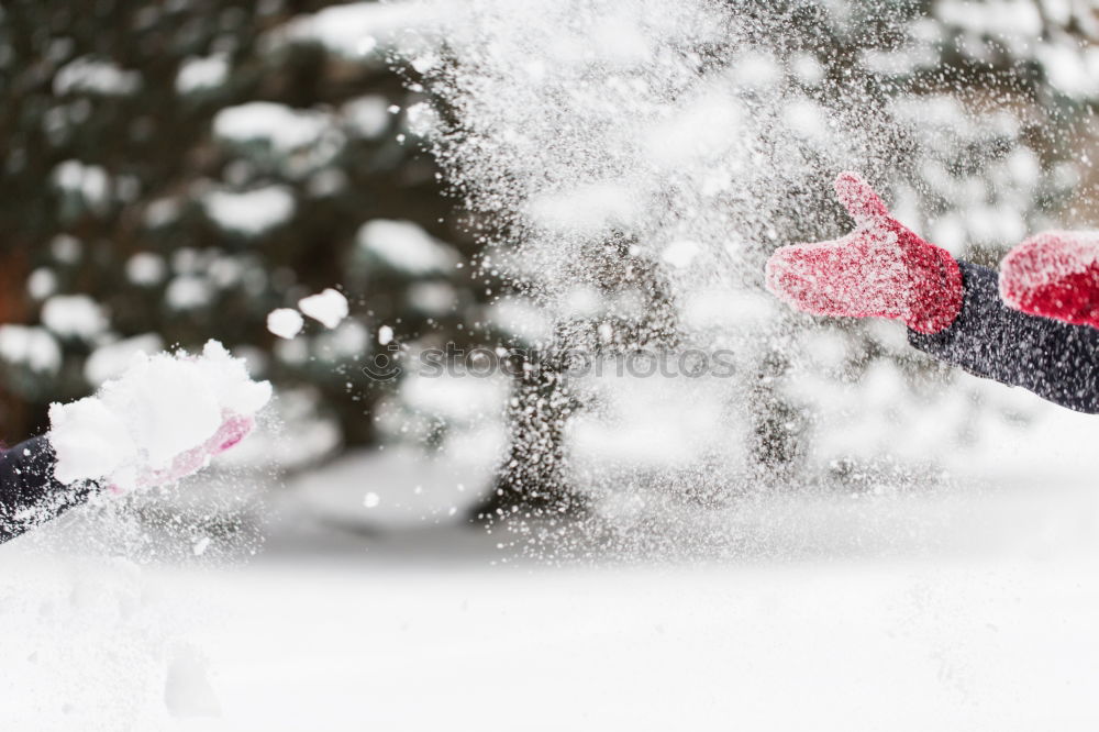 Similar – Family spending time together walking outdoors in winter