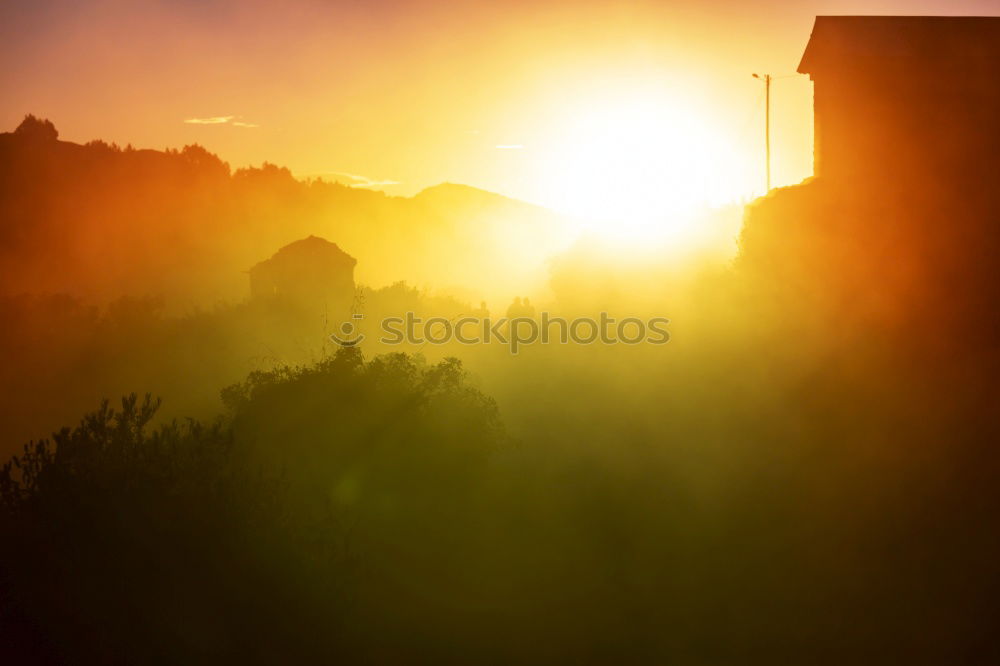 Similar – Image, Stock Photo Early in the morning