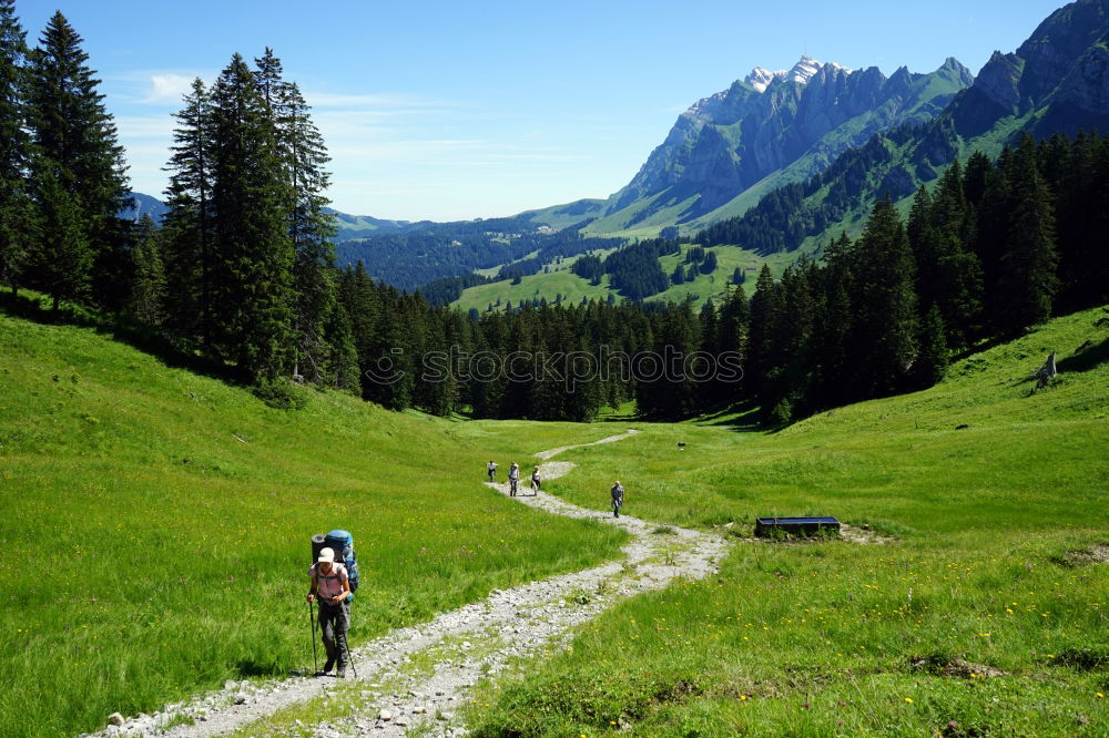 Similar – Image, Stock Photo A path to adventure!