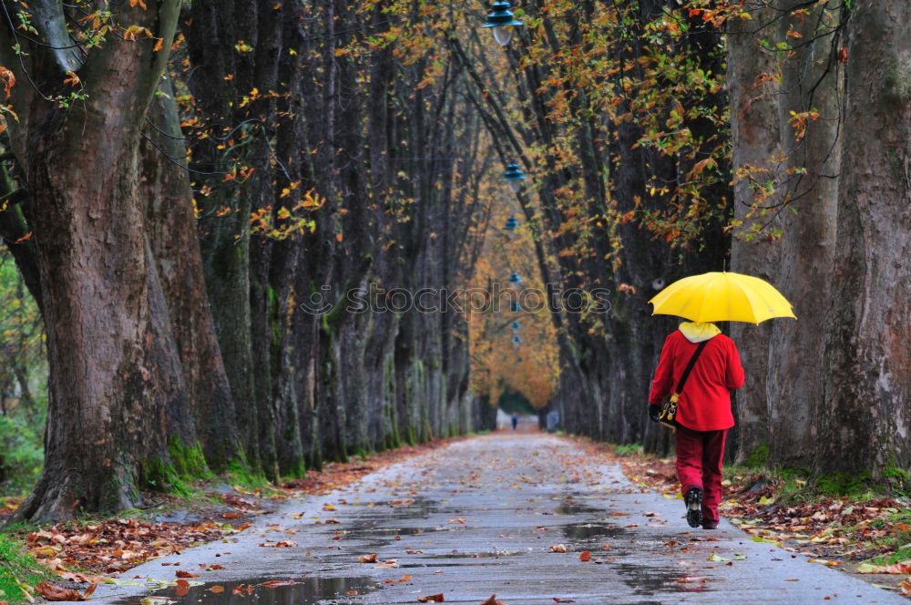 Similar – Image, Stock Photo Pedestrian in autumn