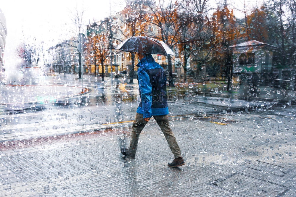 Similar – Image, Stock Photo umbrella. Air Water