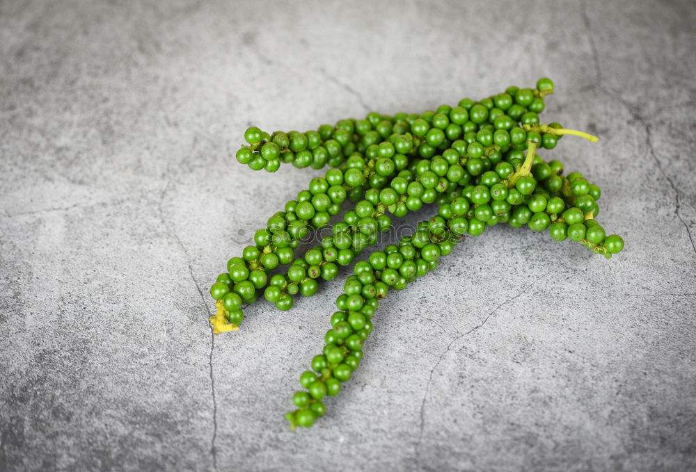 Similar – Image, Stock Photo greenzeux Food Vegetable