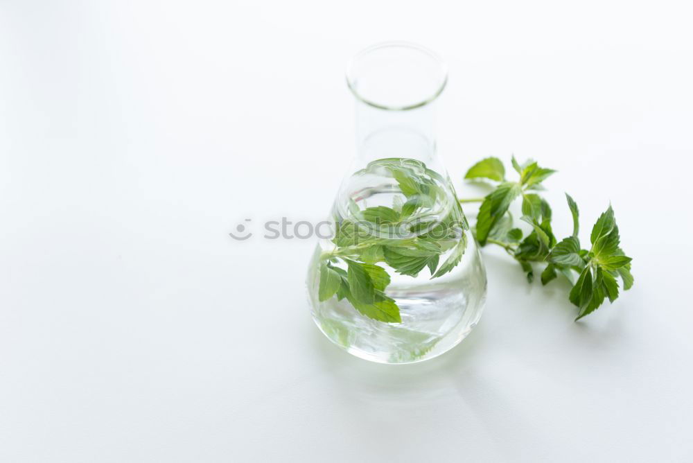 Similar – Image, Stock Photo Natural cosmetics. Serum and face oil bottles with plants