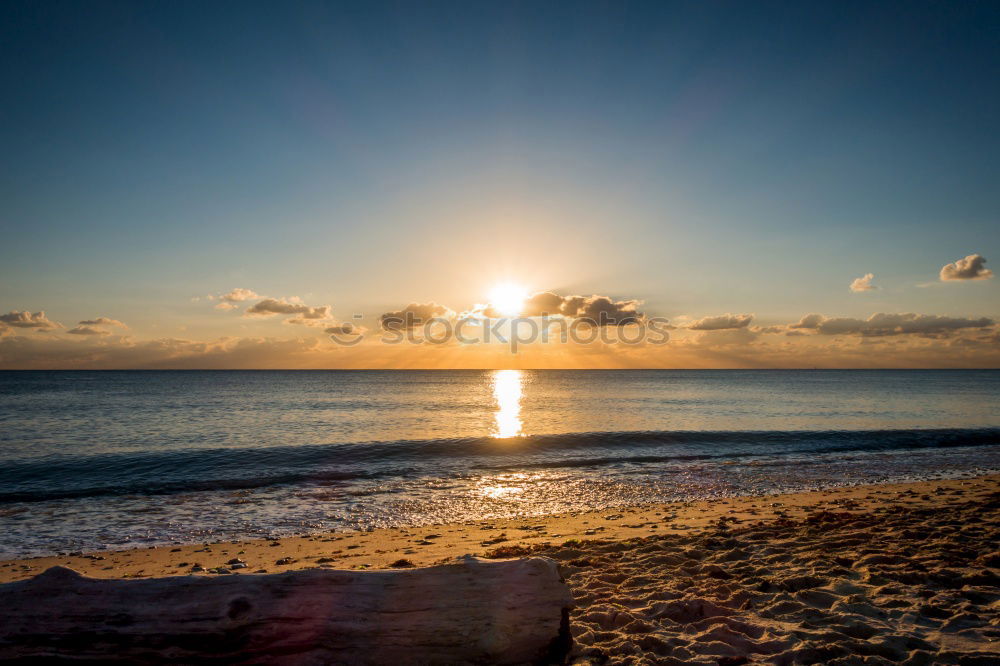 Similar – Image, Stock Photo Let’s take a bath Beach