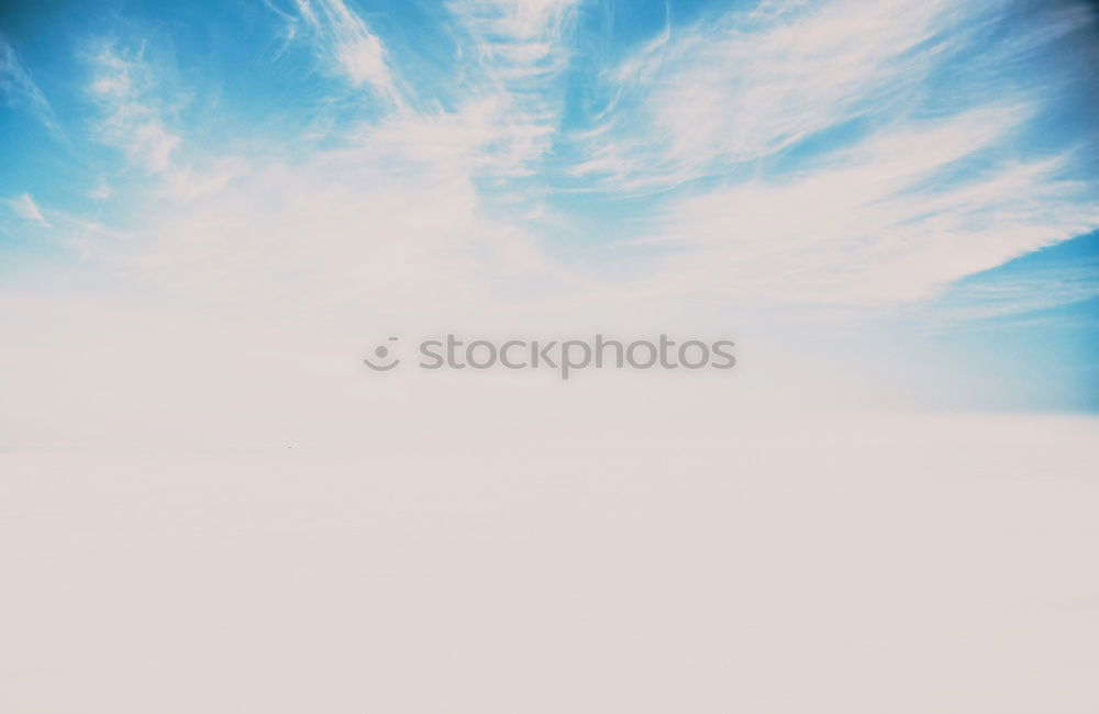 Similar – Image, Stock Photo lone fighters Landscape