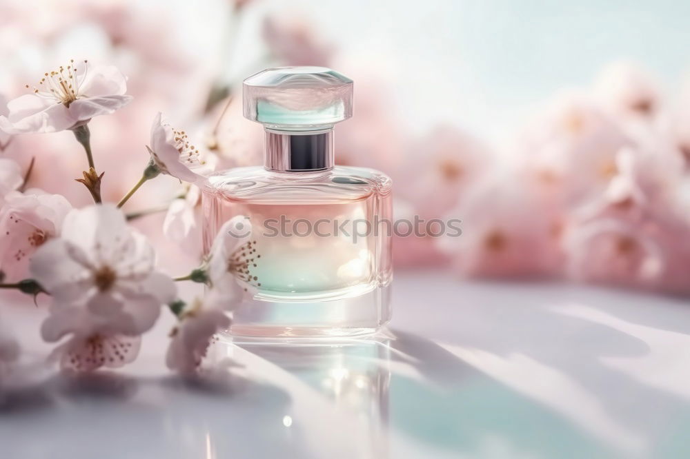 Similar – Image, Stock Photo Floral perfume bottle with plants and flowers