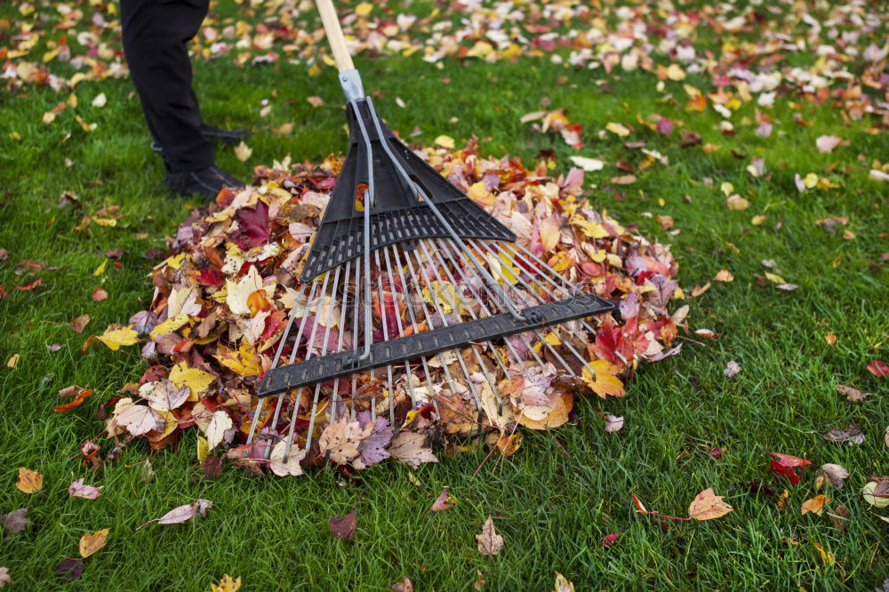 Similar – Image, Stock Photo Wheelbarrow with leaves in autumn