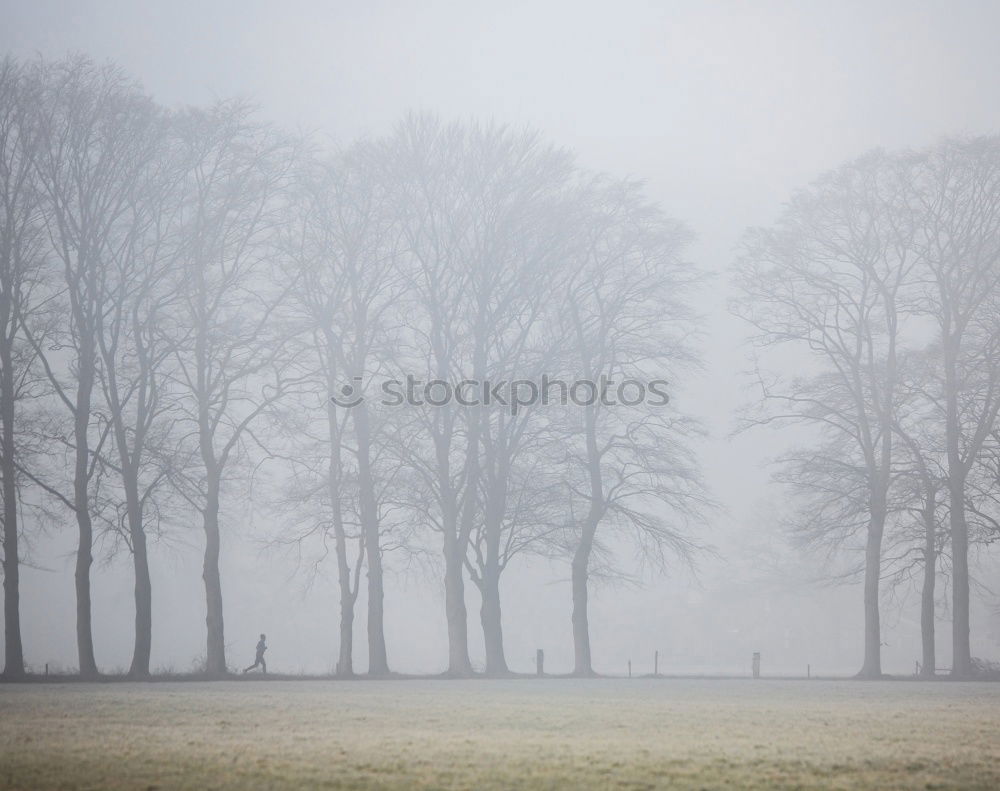 Similar – Hinter dem Zaun Erde Sand