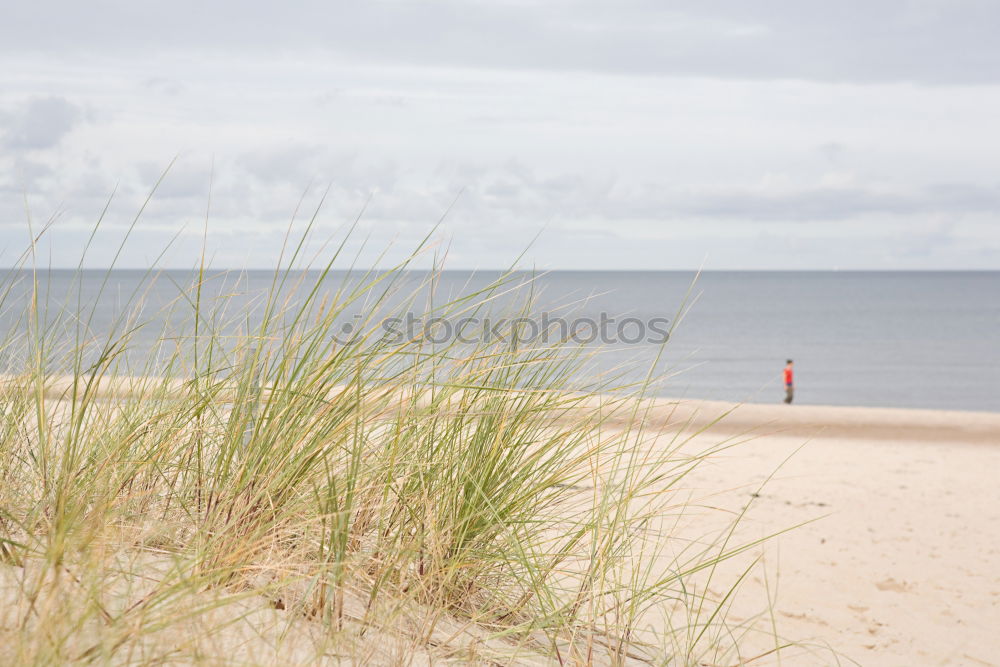 Similar – Image, Stock Photo dune hike Lifestyle