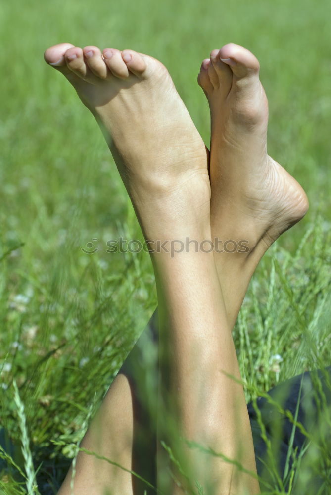 Image, Stock Photo Naked feet in the great outdoors