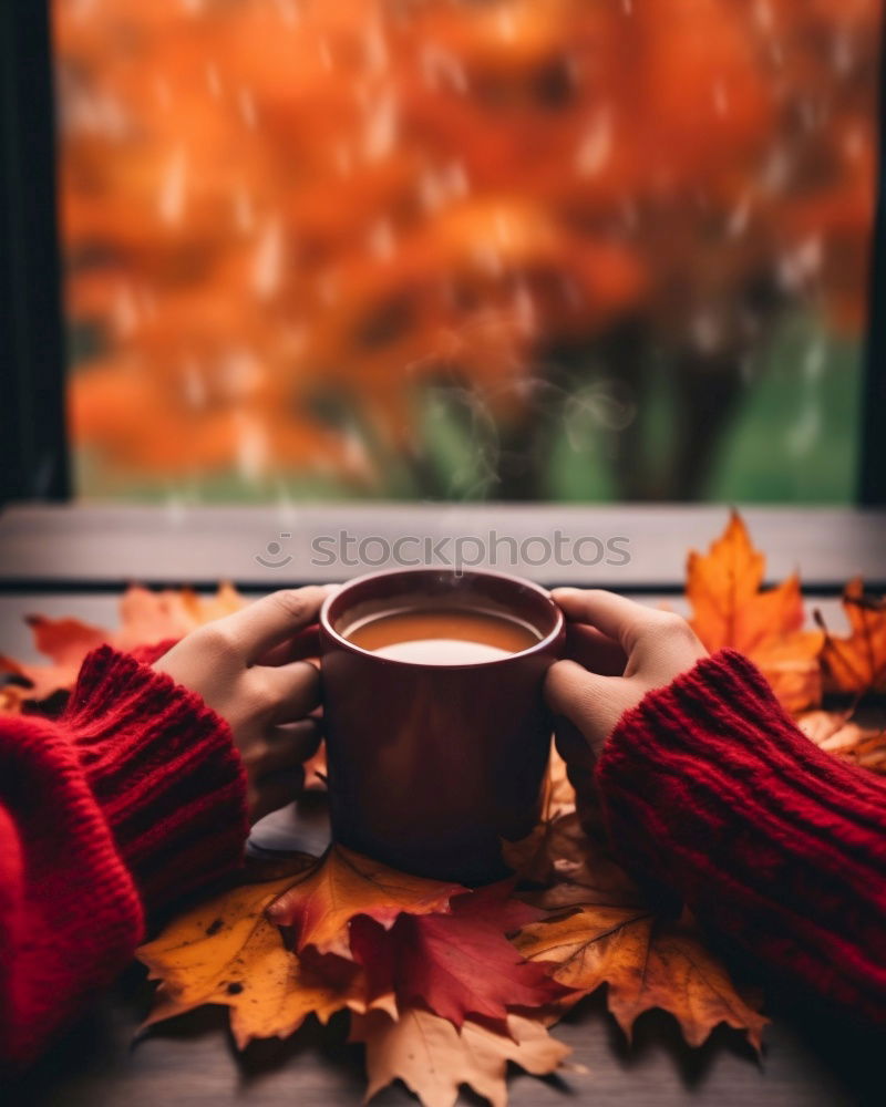 Similar – cozy autumn morning at home. Hot cocoa with marshmallows