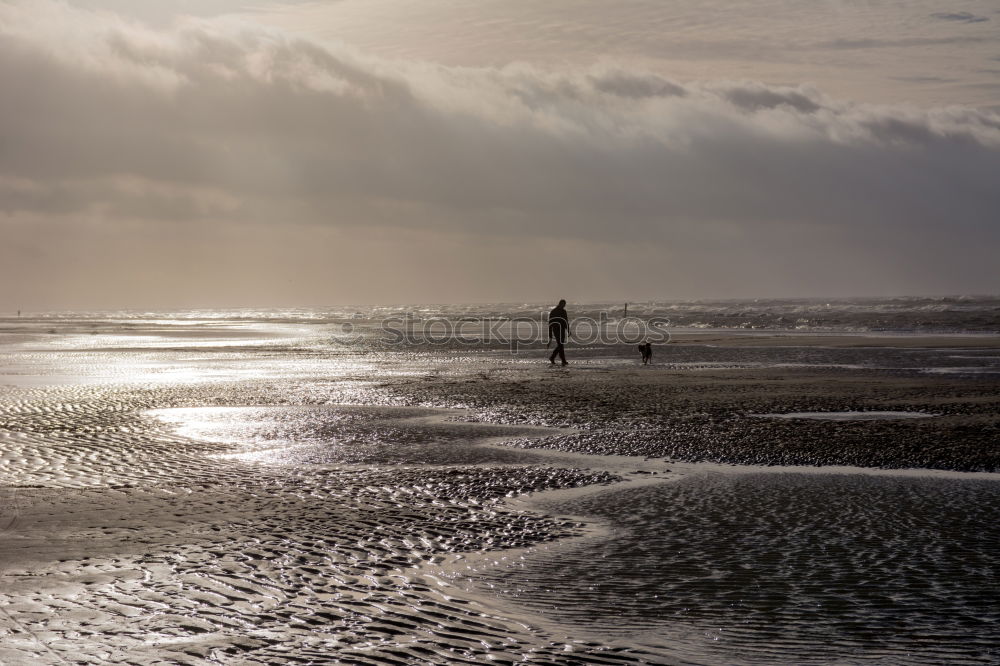 Similar – Stone beach, Brighton Beach, Brighton, England