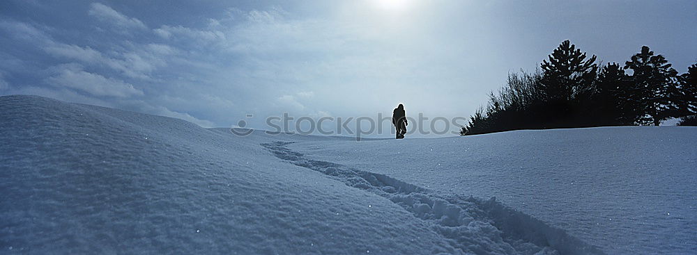 Similar – Image, Stock Photo Steve Podborski Snow