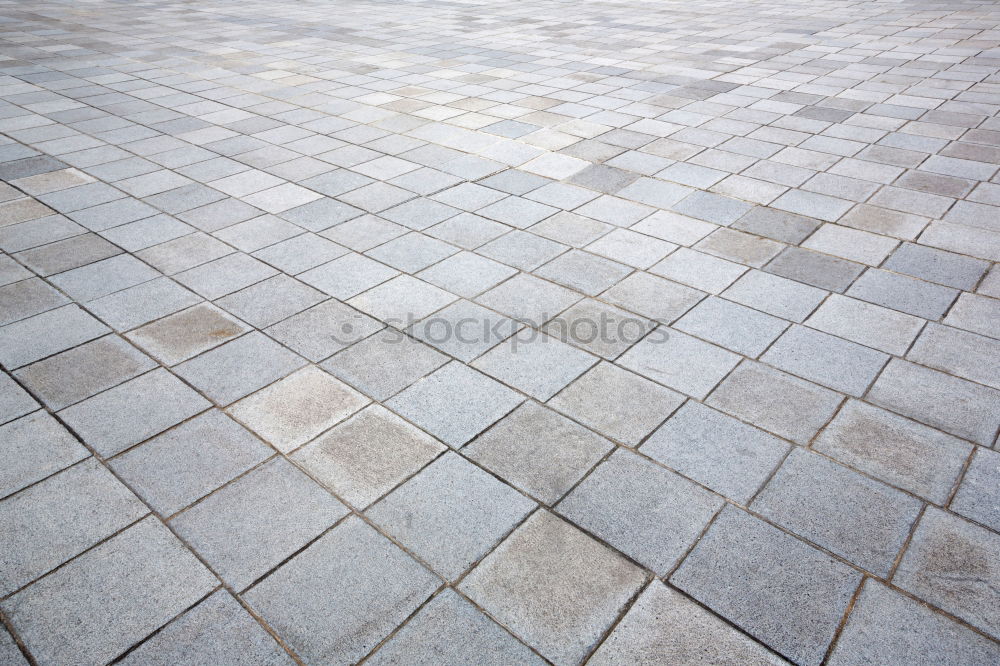 Similar – Image, Stock Photo Paving stones Backyard