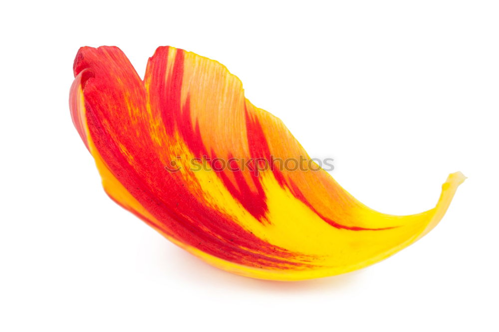 Similar – Image, Stock Photo i go bananas Food Fruit