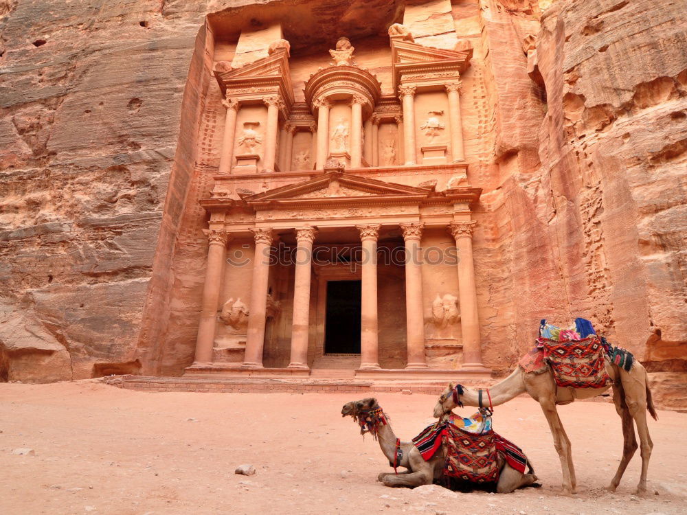 Image, Stock Photo Camels on ground against ancient temple carved in rock
