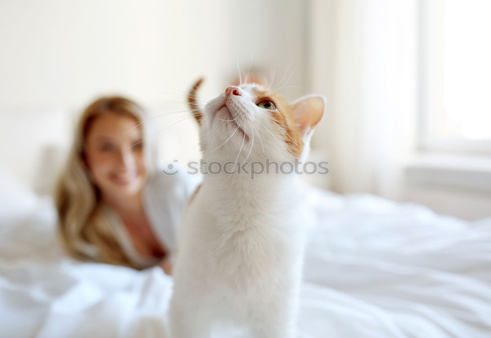 Image, Stock Photo Cat child