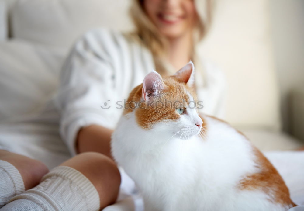 Similar – Image, Stock Photo couch cat II Animal Pet