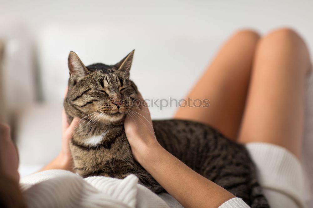 Similar – Image, Stock Photo Young woman with cat Woman