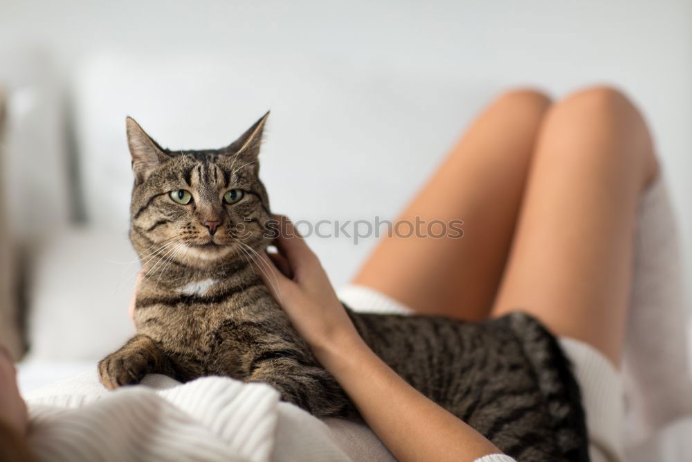 Similar – Image, Stock Photo Young woman with cat Woman