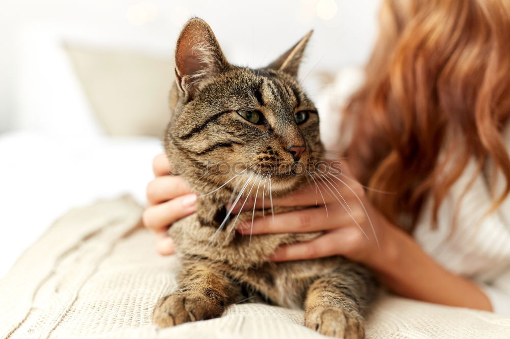 Similar – Image, Stock Photo Happy woman kissing her cat.