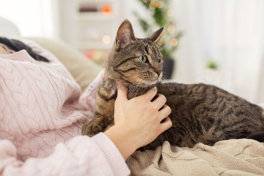 Similar – Image, Stock Photo Happy woman kissing her cat.